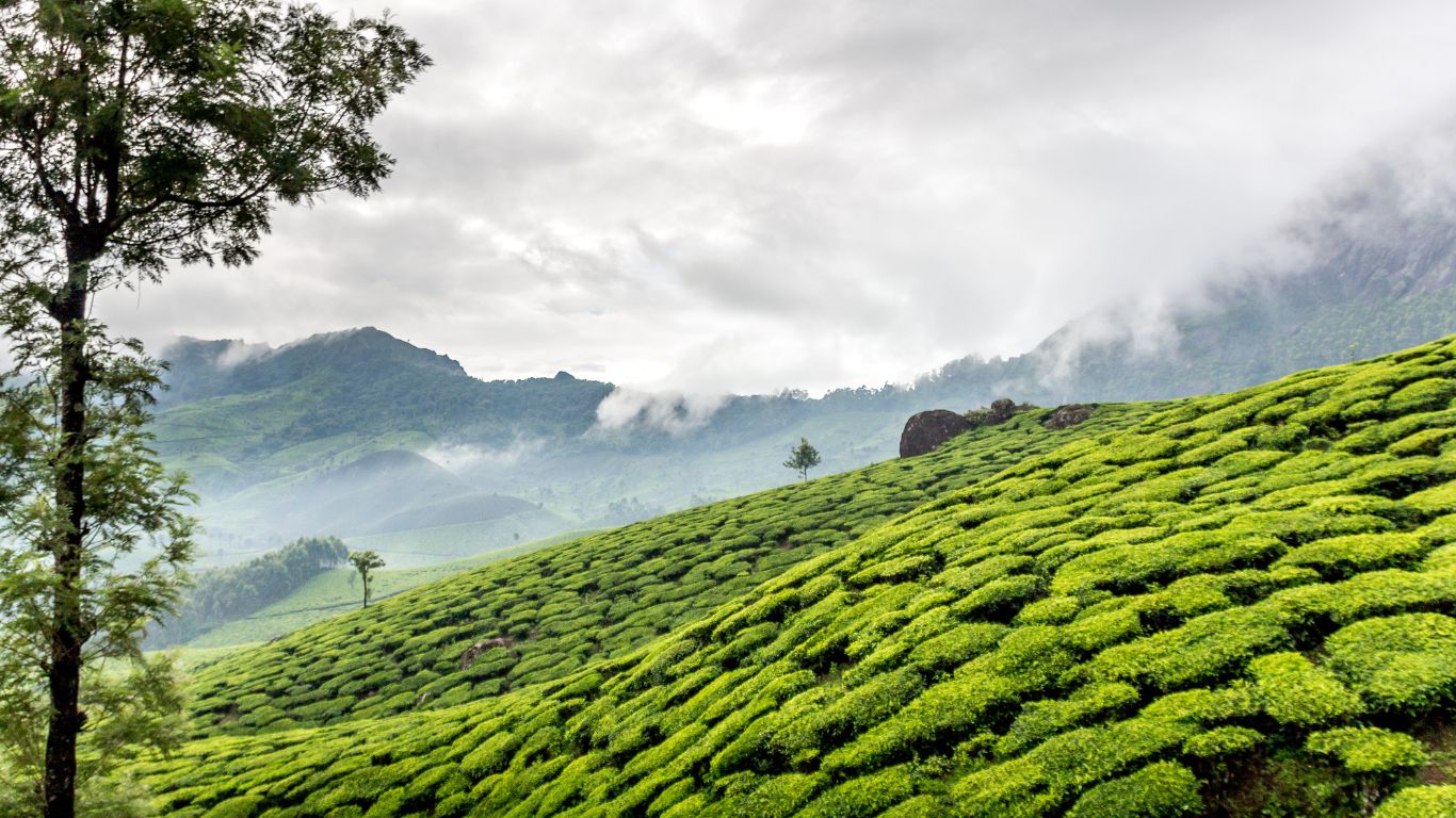 Coorg